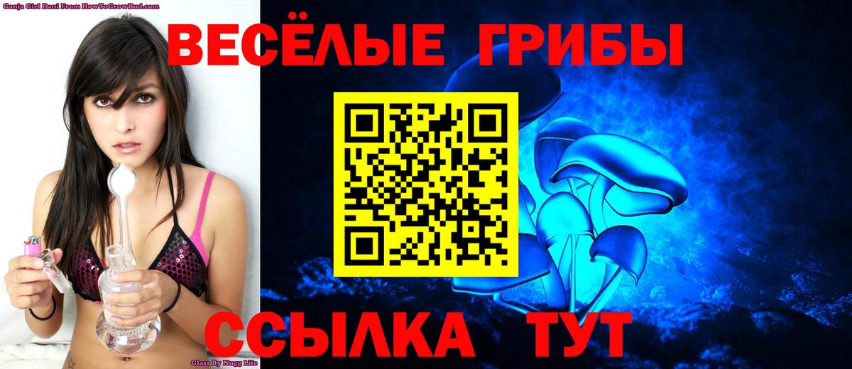 Галлюциногенные грибы Cubensis  Вход с VPN  Псилоцибиновые грибы Psilocybe  Пенза 